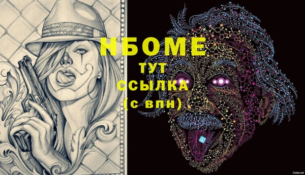 стаф Горняк