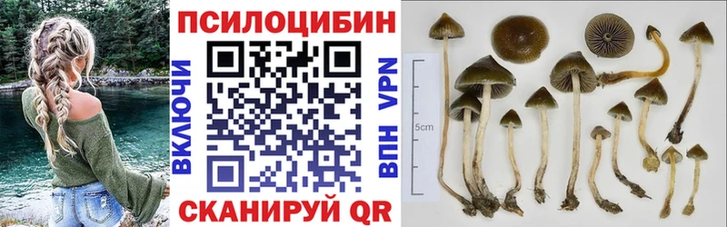 Псилоцибиновые грибы прущие грибы  Купить  Саки 